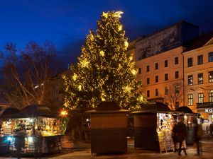 A Christmas tree and market in Hviezdoslav Square, Bratislava