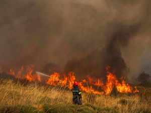 Supporting image for story: Greek firefighters make progress in taming deadly forest blaze burning for days
