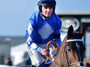 Supporting image for story: Special racecard to remember Shropshire jockey Liam Treadwell