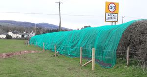 Netting over hedgerows in Rocks Green, Ludlow