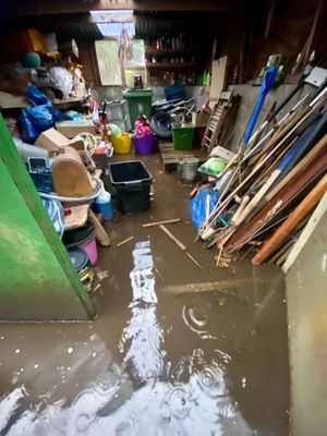 Pat Jones\' garage was flooded. Picture: Pat Jones