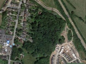 Supporting image for story: Housing plans for Shrewsbury woodland rejected