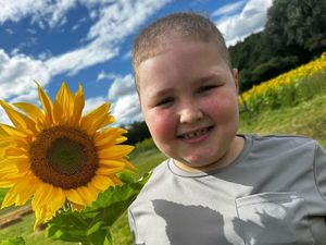 Supporting image for story: Family fun day to raise money for charity after cancer diagnosis of Tipton boy, 8