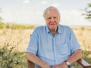 Supporting image for story: Sir David Attenborough warns of climate change threat from Covid-19