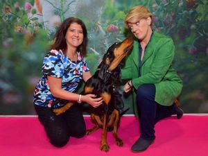 Supporting image for story: Crufts 2019: Highlights of day one at the Birmingham NEC event - with pictures and videos