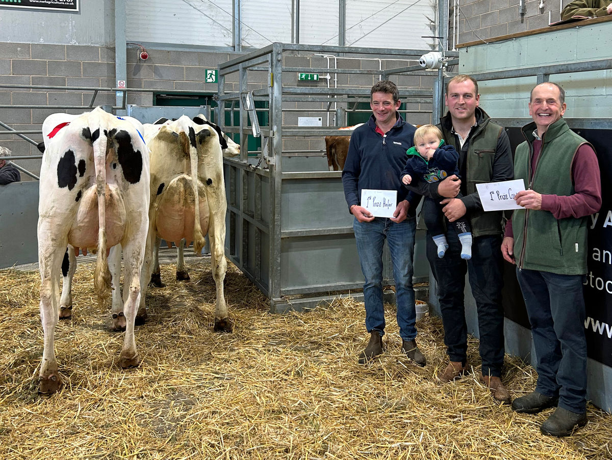 Ellesmere dairy farmer takes home auction championship after he sells off herd