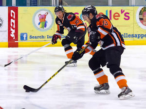 Supporting image for story: Telford Tigers coach Tom Watkins relishing tough run of fixtures