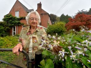 Supporting image for story: Garden that has been fundraising for over 40 years, reopens this weekend