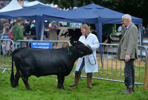 Burwarton Show