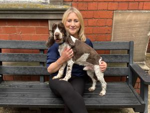 Supporting image for story: Black Country MP needs public votes to have her pet crowned Westminster Dog of the Year