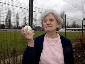 Supporting image for story: Families in fear of stray balls