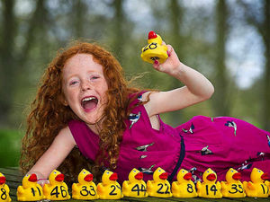 Supporting image for story: Quacking fundraiser for Shropshire group