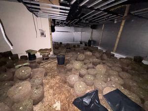 West Mercia Police found cannabis worth up to £2.5m in the raid