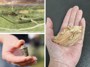Supporting image for story: Incense bowl, metal acorn and helmet handle among amazing artefact finds by visitors at Attingham Park dig