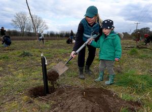 Katey Smith and son Alfred, two, plant an apple tree at Roots Allotments in Stourbridge