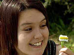 Supporting image for story: Crazy daisy found on lawn