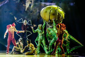 Cirque du Soleil OVO. Pictures by: Chris Bowley