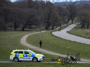 Supporting image for story: Campaign to thwart wild bird egg thieves in rural areas 