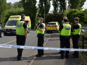 Supporting image for story: Dudley Wood murder suspect released on bail