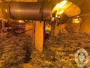 Supporting image for story: WATCH: Cannabis factory discovered in hidden Wolverhampton bunker