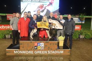 Connections with Mongys Wild after a second successive Golden Jacket triumph