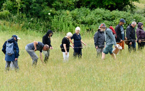 The Lodge Field Local Nature Reserves annual orchid count team. Picture by DAVE BAGNALL