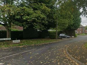 Supporting image for story: Man arrested after armed police called to Dawley following assault report and weapons discovery