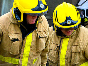 Supporting image for story: Firefighters called to help free cow stuck in tree