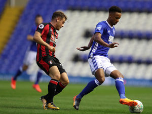 Supporting image for story: Transfer Rumours - August 12: Wolves, West Brom, Walsall and Villa news and gossip