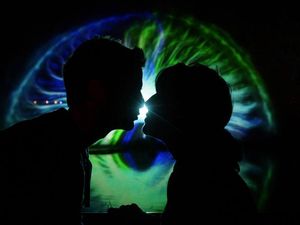 Supporting image for story: Human ‘love hormone’ found to turn starfish stomachs inside out