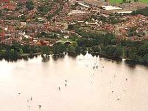 Supporting image for story: Mystery over fish in lake