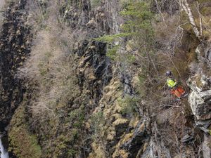 Supporting image for story: Conservationists abseil into 60-metre gorge to tackle invasive plant species