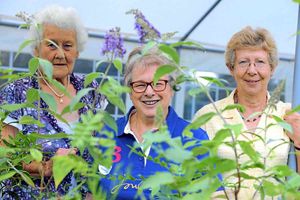 Jean Woolley, Carol Evans and Daphne Evans.