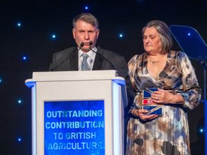 Supporting image for story: Special award highlights parents' work through Len's Light