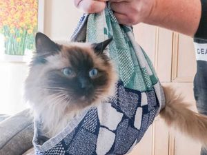 Supporting image for story: Andy Richardson: Now is the time to do acts of kindness for our neighbours