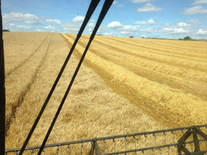 Supporting image for story: Council's call to support local food producers in Shropshire 