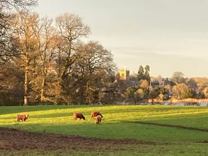 Supporting image for story: Ellesmere named one of the best places to live in the Midlands