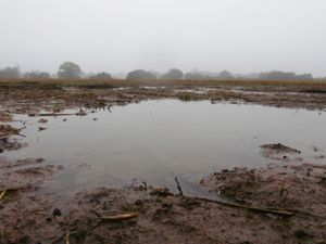 Supporting image for story: Flood alerts in place in Shropshire as region braces for more rain