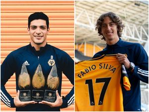 Supporting image for story: Steve Bull excited over Wolves' £67m strike pairing