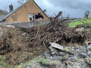 A landslide caused trees to damage the farmhouse. Picture: Trevor Bates