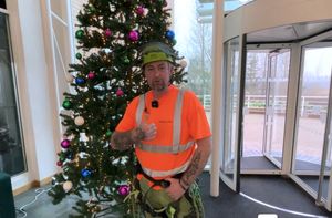 'Christmas' Tree Surgeon Dave Nancarrow admires is handy work