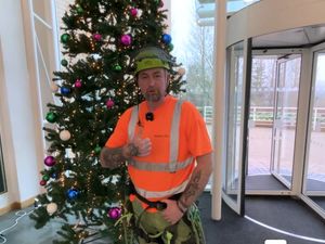 Supporting image for story: Housing Plus Group on the hunt for a ‘Christmas Tree Surgeon’ – baubles, lights and tinsel wizard wanted