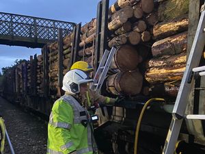 Supporting image for story: Fire on train carrying logs halts rail services