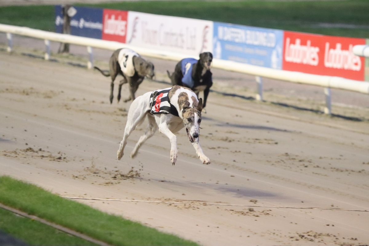 Wolverhampton venue hosting free Boxing Day racing