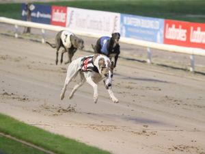 Supporting image for story: Wolverhampton venue hosting free Boxing Day racing