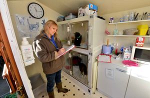 Marion Micklewright who founded Shropshire Cat Rescue. Here she is in the cat hospital