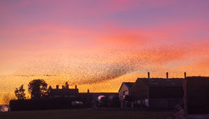 Photo taken by Andrew Fusek Peters, pro wildlife photographer