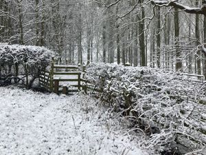 Supporting image for story: Shropshire snow: Photos and updates from snowy Shropshire