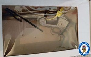 One of the two guns seized