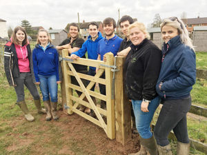 Supporting image for story: Young farmers provide gateway to countryside